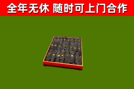 汪清回收海参